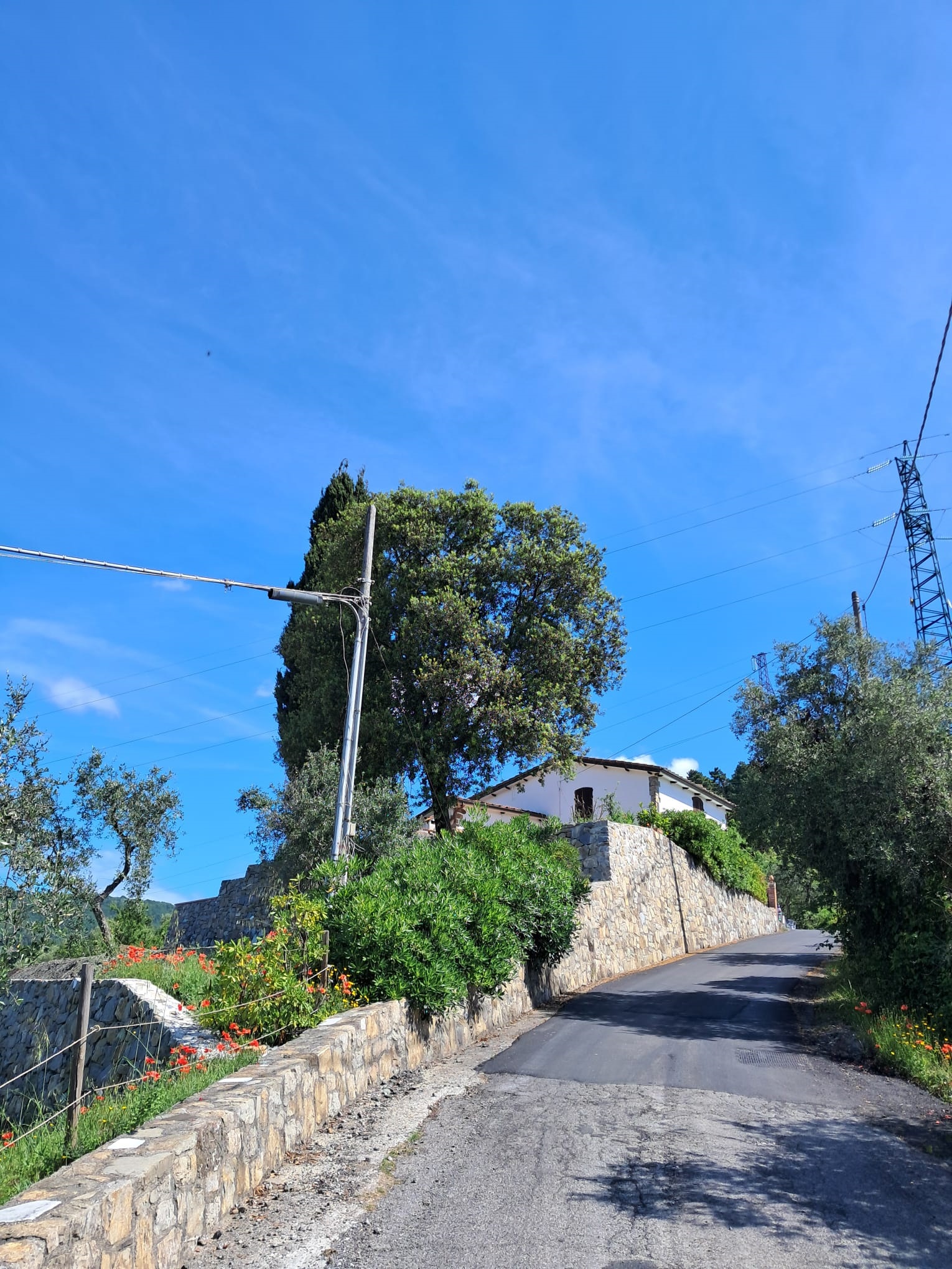 ingresso appartamento vacanze  Il Grottino di Sarzana